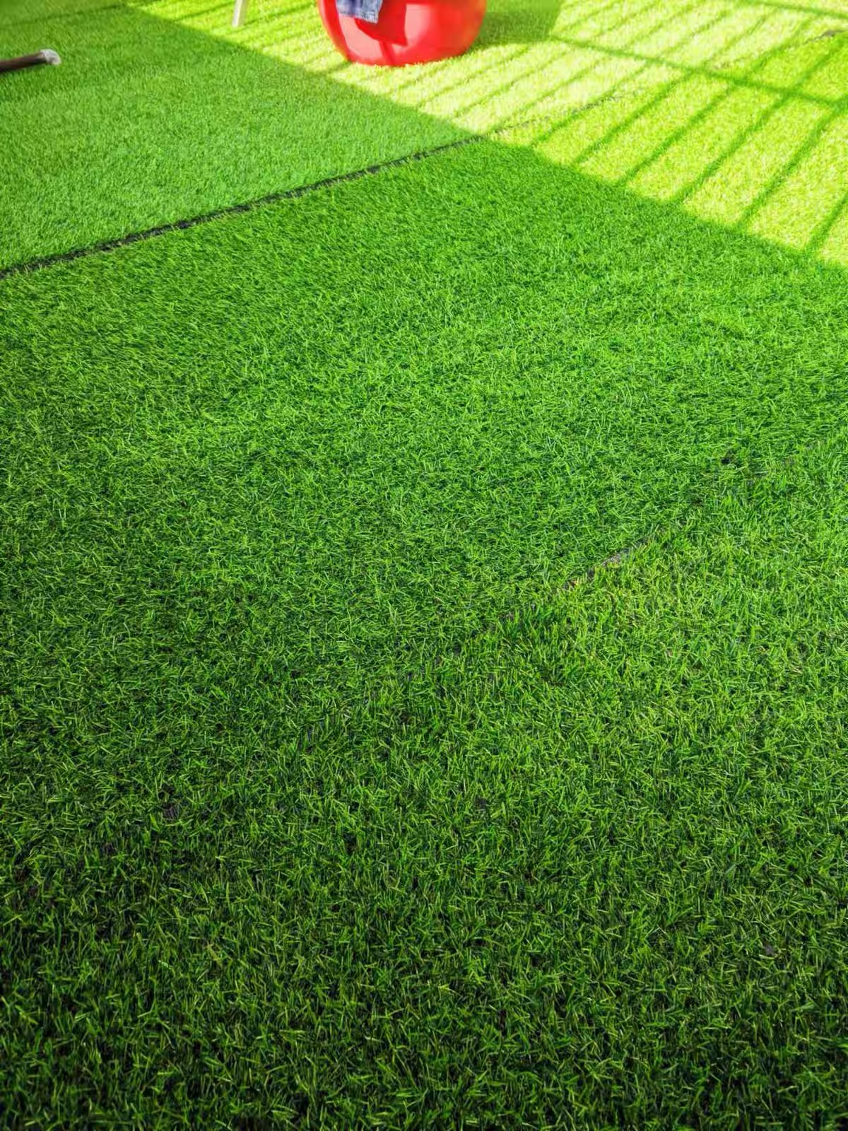 昂进体育案例图片